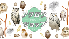 保存版 おすすめ フクロウのlineスタンプまとめ コキンメまとめ 保存版 おすすめ フクロウのlineスタンプまとめ コキンメまとめ